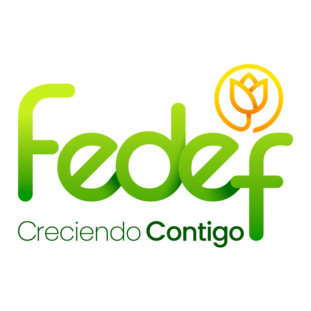 FEDEF